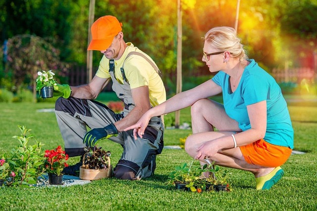 landscaping-business-ideas