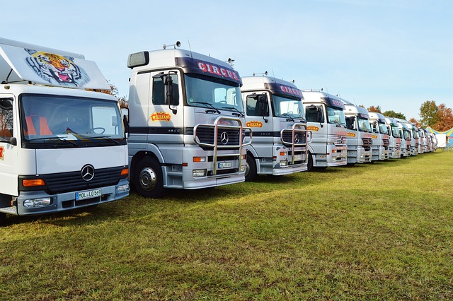 How-to-start-box-truck-business