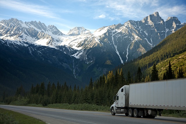 Box-truck-business-names